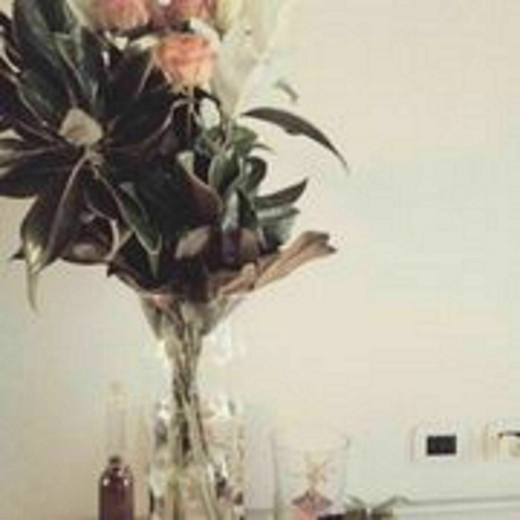 Apartament Casa Caterina Werona Zewnętrze zdjęcie